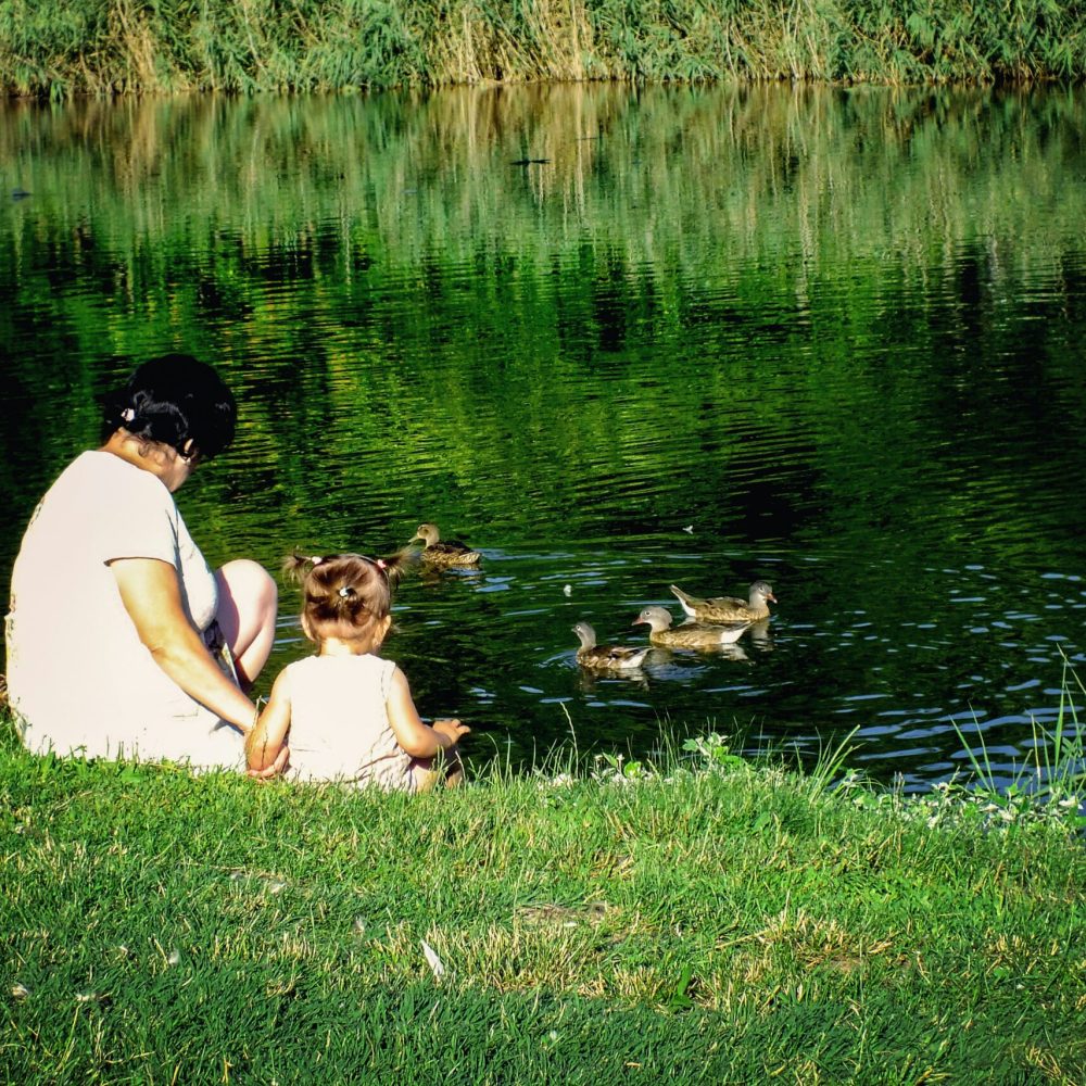 denis-agati-qgQPDdNXEWY-unsplash